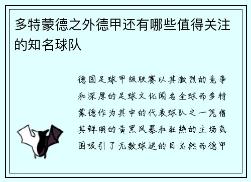 多特蒙德之外德甲还有哪些值得关注的知名球队