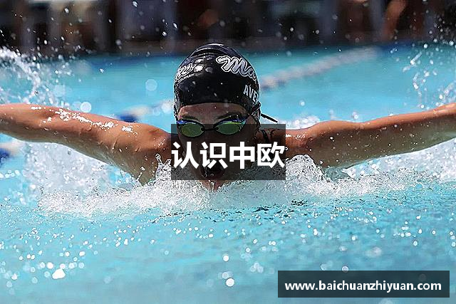 认识中欧